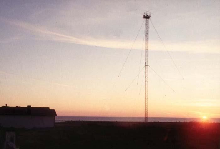 mast2.jpg (24945 bytes)